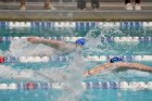 Swimming & Diving vs RWU  Swimming & Diving vs Roger Williams University. - Photo by Keith Nordstrom : Wheaton, Swimming